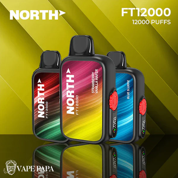 Unveiling the Longevity of the North FT12000 Vape: How Far Can It Take You?